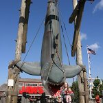 Jaws1