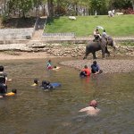 IMG_0115