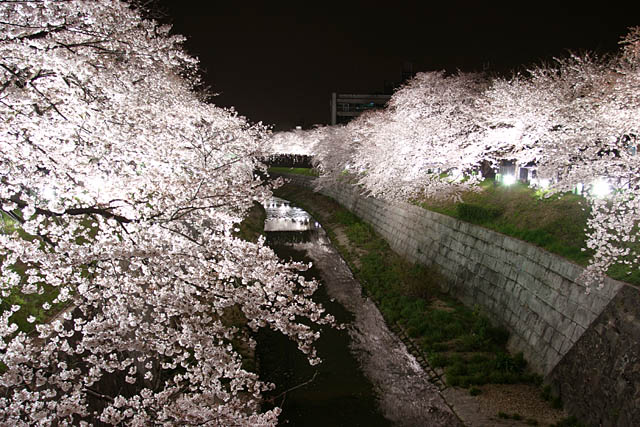 aaa