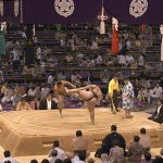 Sumo Wrestling
