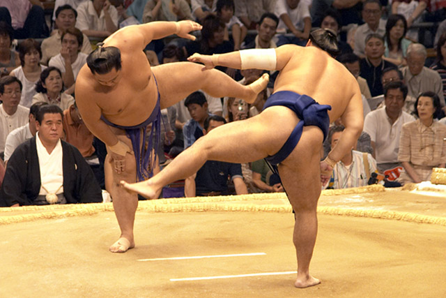 Sumo02