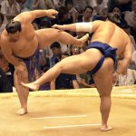 Sumo02