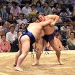 Sumo04