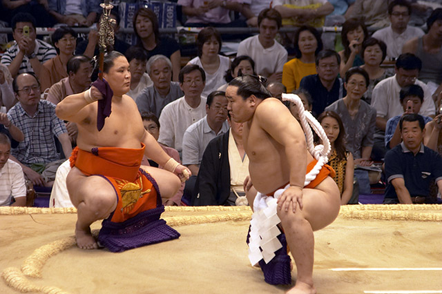 Sumo10