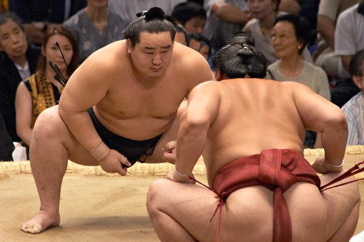 Sumo12