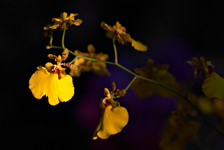 CRW_5713_small