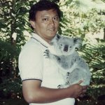 Koala_Bear