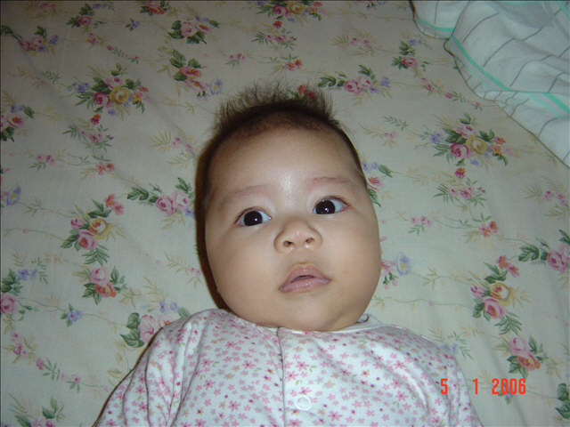 DSC00247