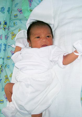 vince04