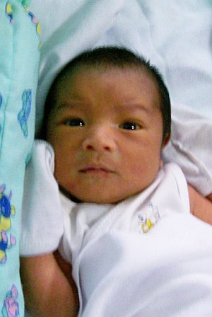 vince07