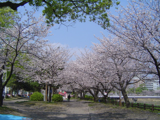 DSC07896
