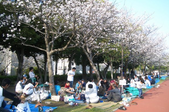 Hanami 20070407 019