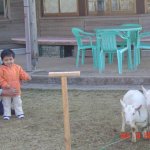 DSC07565