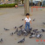 DSC07031