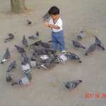 DSC07033