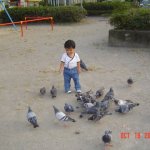 DSC07036