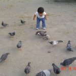 DSC07037