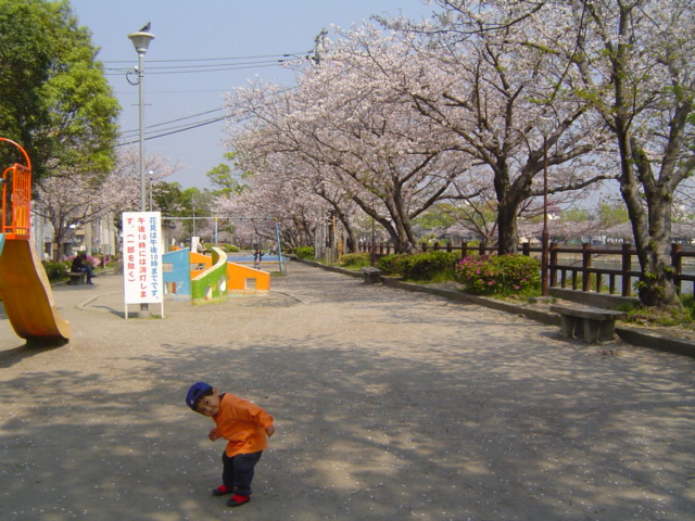 DSC07871