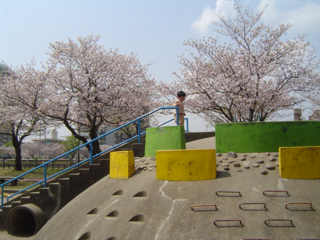 DSC08006