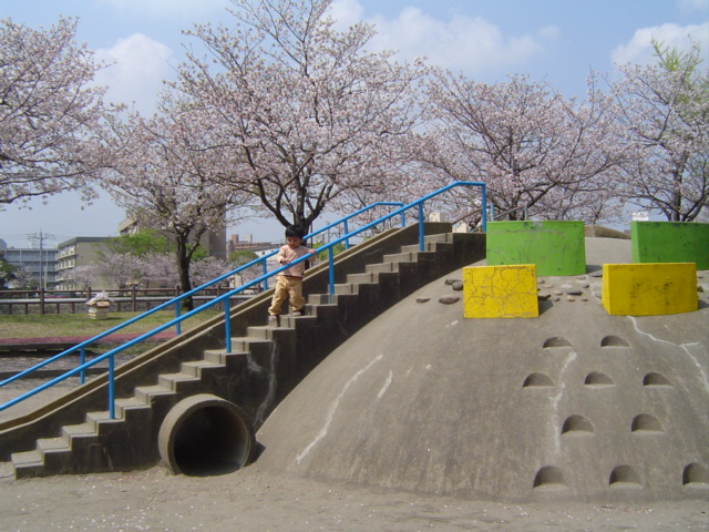 DSC08008