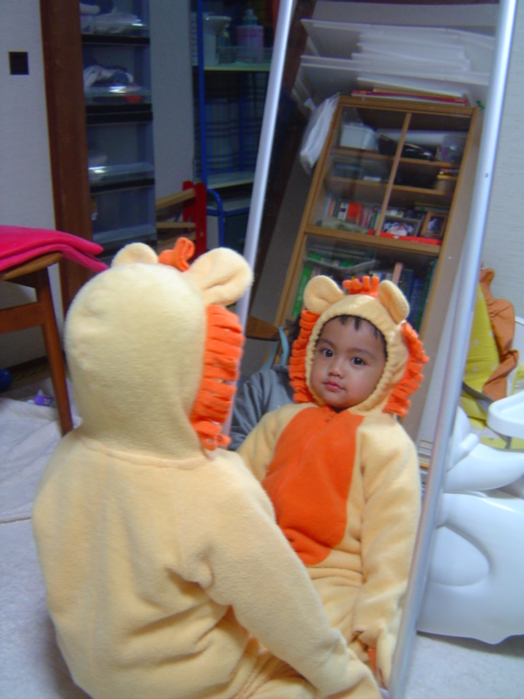 DSC07806
