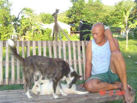 mike_amp_ann084