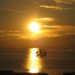 IMG_1610