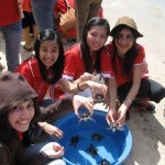 IMG_0537 copy1